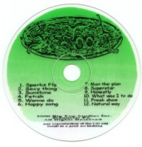 Screenprinted CD
